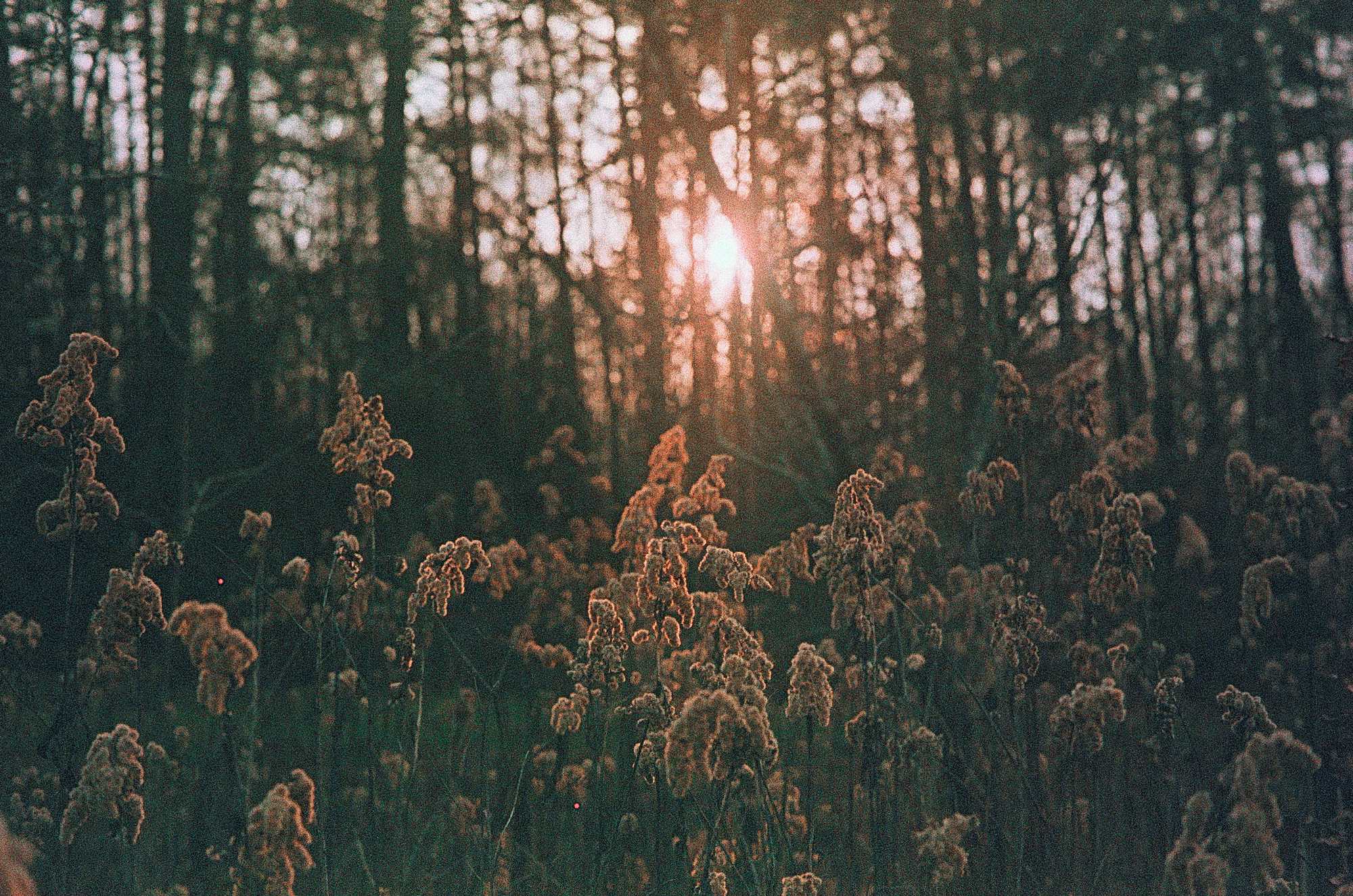 Vkl 2019 02 20 Leica CL 7Artisans Precisa cross (7)